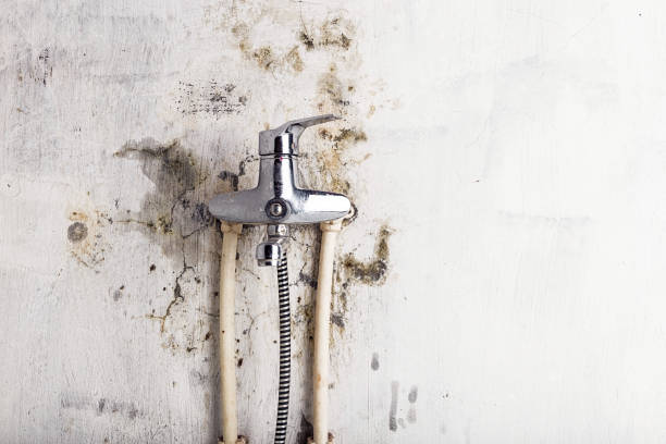 Best HVAC Mold Remediation in Richwood, NJ