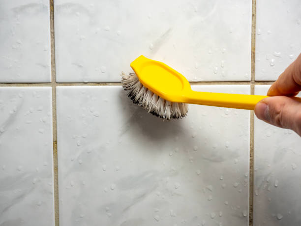 Best Residential Mold Remediation in Richwood, NJ