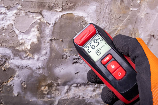 Best Health and Safety Mold Remediation in Richwood, NJ