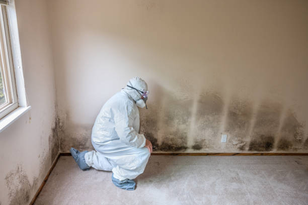 Best Post-Remediation Services in Richwood, NJ